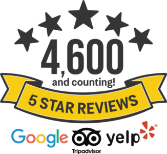 4600 5 star reviews